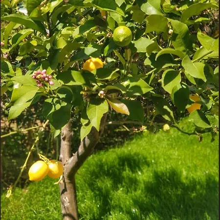 Appartement Sunce Trogir