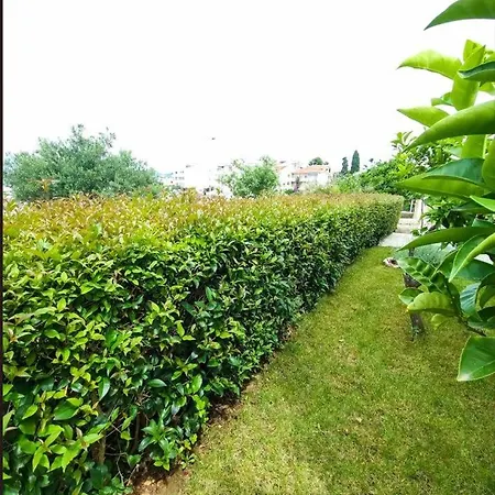 Sunce Traù